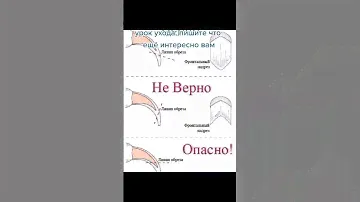 как постричь когти собаке #doggroom #собака #doggroominglife #groomerslife #животные #уходзасобакой