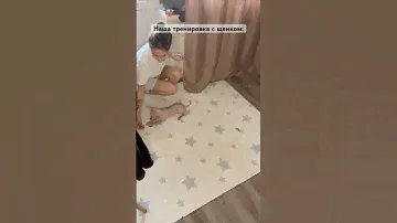 Дрессировка щенка